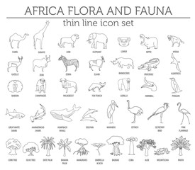Fototapeta na wymiar Thin line Africa flora and fauna elements. Animals, birds and se