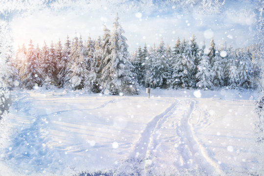 winter road. Beautiful color high-res illustration with a holida