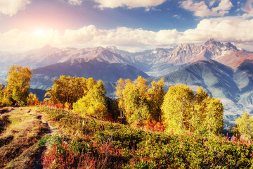 Autumn landscape and snow-capped mountain peaks. View of the mou