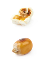 Semi-opened popcorn kernel isolated