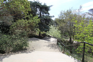Botanical Garden 