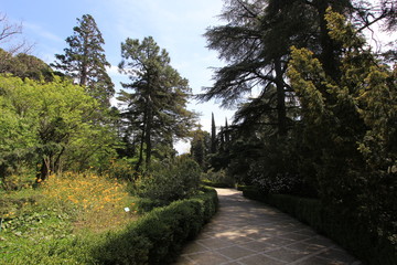 Fototapeta na wymiar Botanical Garden 
