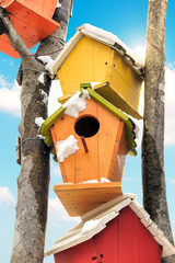 house of birds