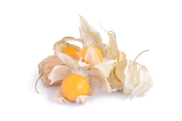 cape gooseberry (delicious physalis) fruit in close-up isolated