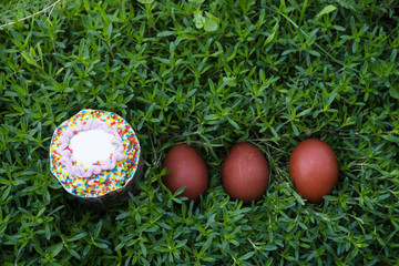 Fototapeta na wymiar Kulich and painted eggs laying on fresh grass top view