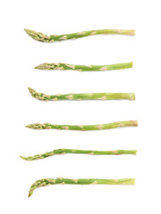 Single spear of asparagus isolated