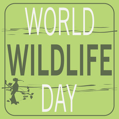 World Day of wildlife, varied background