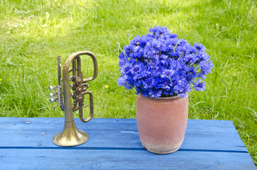 antigue clay pot with cornflowers and brass trumpet