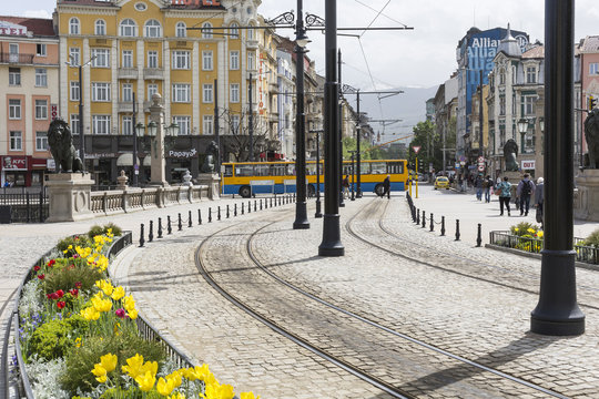 Traffic on the lions bridge in the center of Sofia.