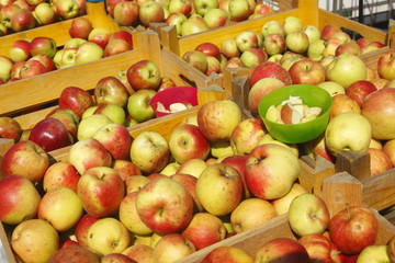 Frische Äpfel  in Kisten auf einem Marktstand