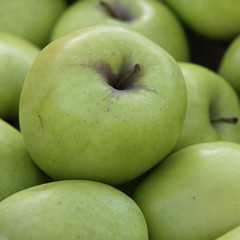 delicious green apples