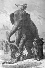 Illustration / Condamné exécuté par un éléphant
