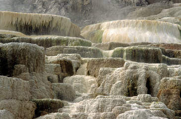 Yellowstone