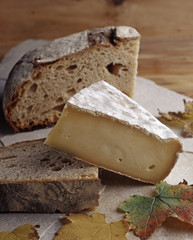 Fromage / Saint Nectaire