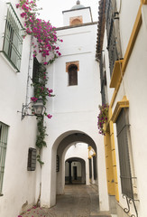 Cordoba (Andalucia, Spain)