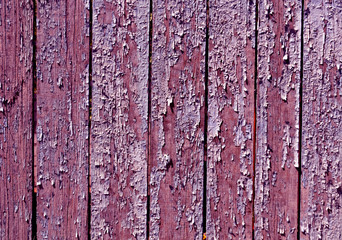 Grungy color fence texture.