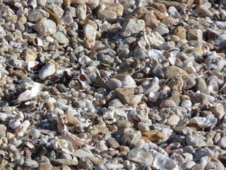 plages bretonnes