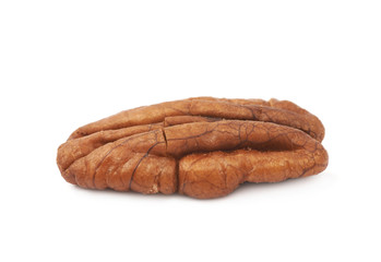 Single pecan nut isolated