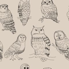 Seamless pattern with various owls in retro style