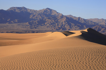 Fototapeta na wymiar Dunes à Prosopis/ Vallée de la mort / Californie