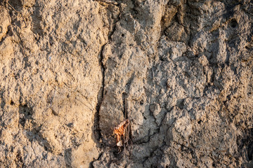 Gravel wall in sunset light texture
