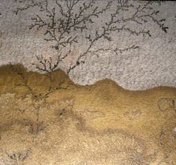 Pierre paysage / Dendrite