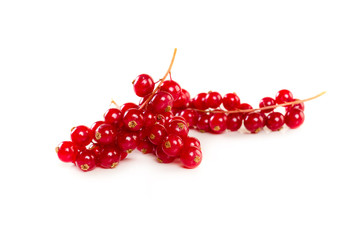 Red Currant isolated on a white background