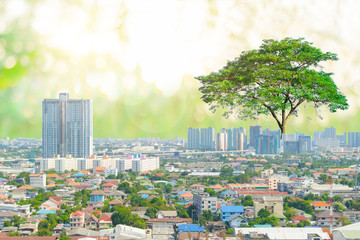 Ecology concept Human hands holding big plant with on blurred sunset background,World Environment Day and buildings of the public