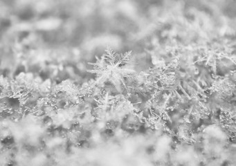 Abstract natural texture background of snowflakes and ice