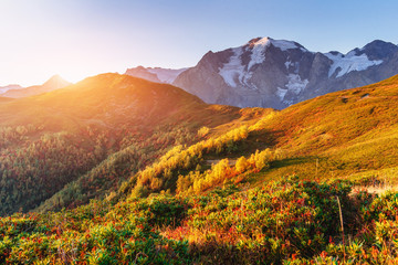 Autumn landscape and snow-capped mountain peaks. View of the mou