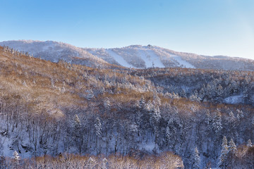 powder snow mountain in Sapporo, Hokkaido Japan