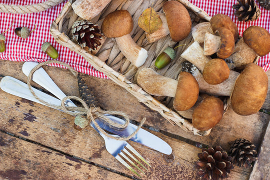 Raw white mushrooms, pine cones with dry decorations on the wooden table