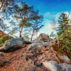 Large stone in the forest