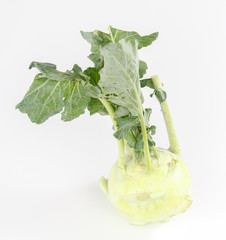 kohlrabi  