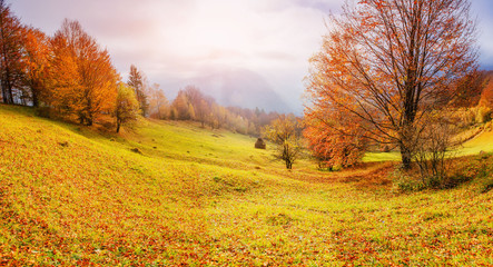 rock massif in the Carpathians. Carpathian, Ukraine, Europe