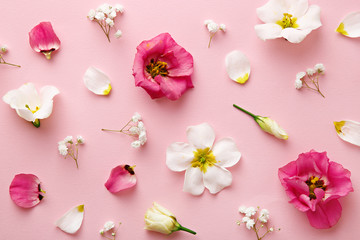 Flat lay flower pattern on pink background. Spring concept. Top view