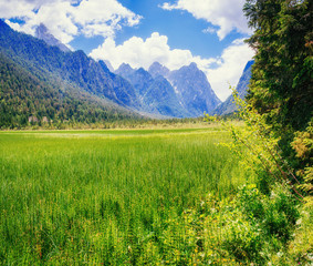 Obraz premium The green grass and rocky mountains. Dolomite Alps, Italy 