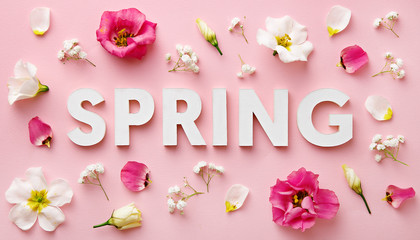 Flat lay spring letters with flowers on a pink background. Spring concept. Top view