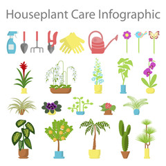 Window gardening infographic elements. Equipments for take care of indoor flowers. Vector set of flat illustration of horticultural sundry, house plants and flowers in pots. EPS 10