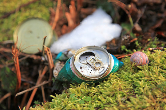 basura en la naturaleza 8886-f17