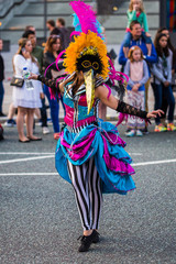 Naklejka premium Brazilica 2015