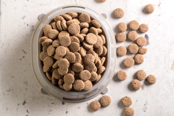 pets food on the floor