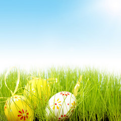 Easter, Ostern, Ostereier, Wiese, Sonne, Sonnenstrahlen, Himmel, Textraum, Copy space