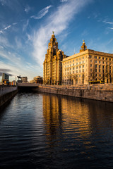 Reflections of the Liver Building at dusk