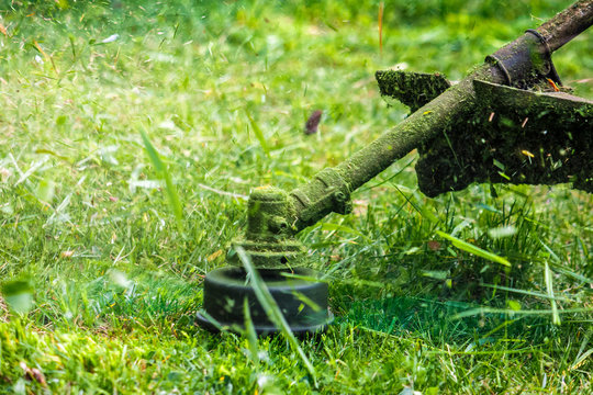 trimmer head cutting grass to small pieces