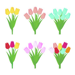 Set of tulip flowers bouquets isolated on white background. Vector illustration.