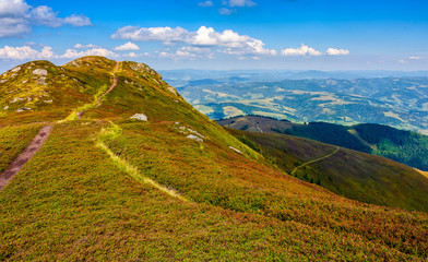 Fototapeta premium path through a meadow on hillside