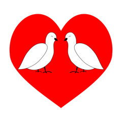 Love couple dove in red heart