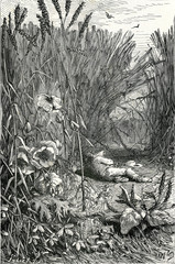 Illustration / Repos du  jardinier