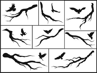 set of branches and birds